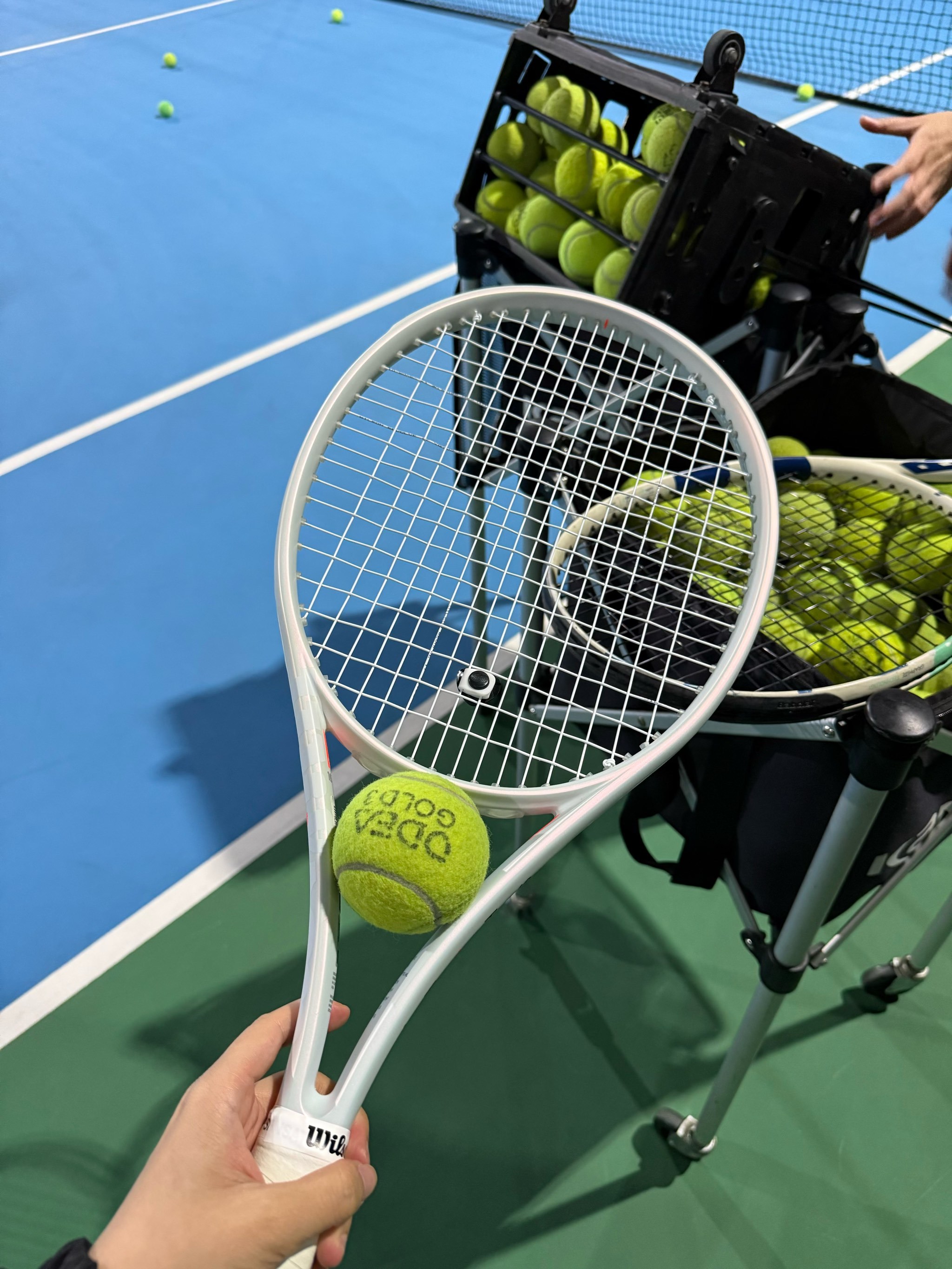 队贡献的坚 队贡献的坚