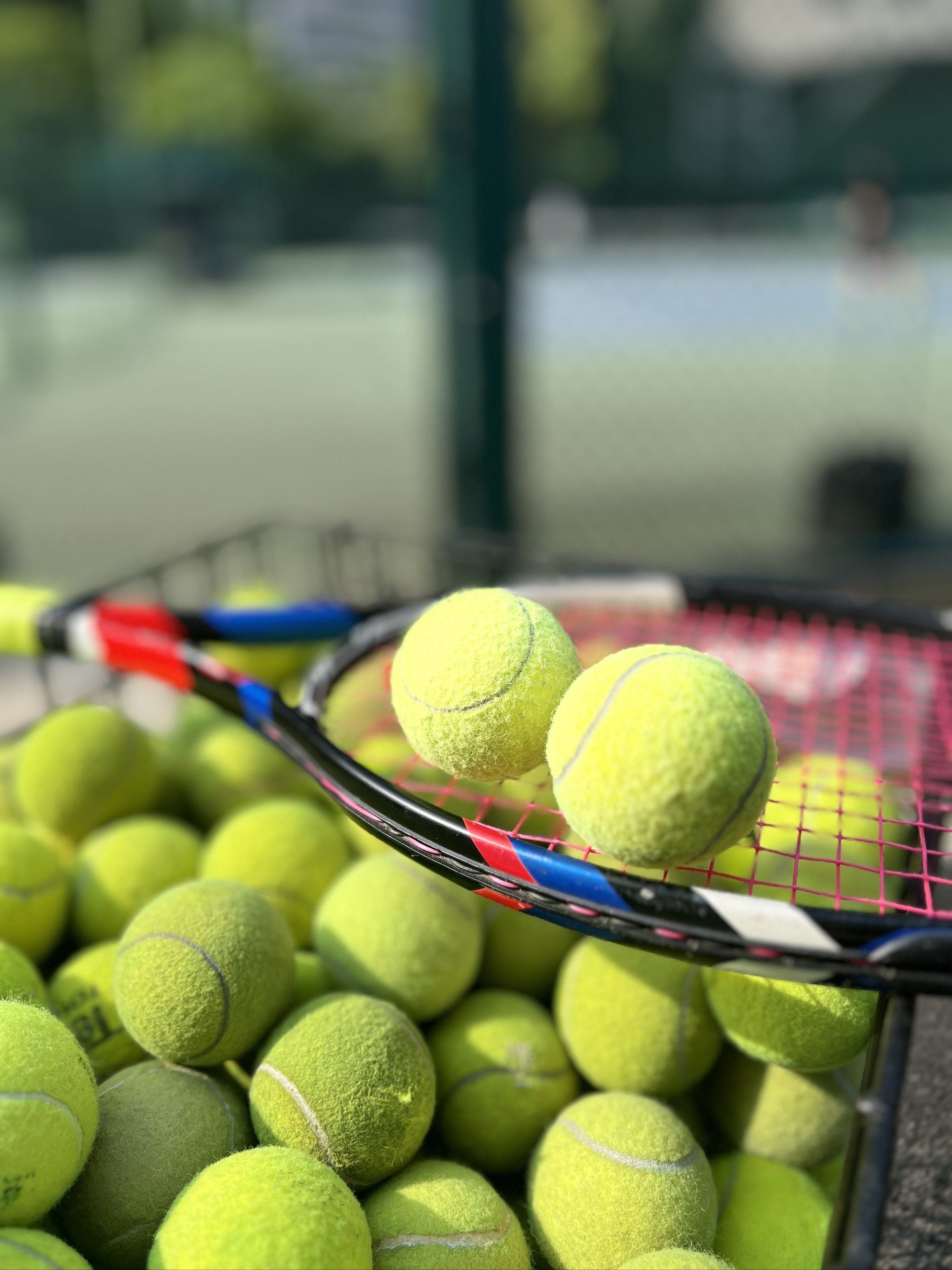 犯规过多被 犯规过多被