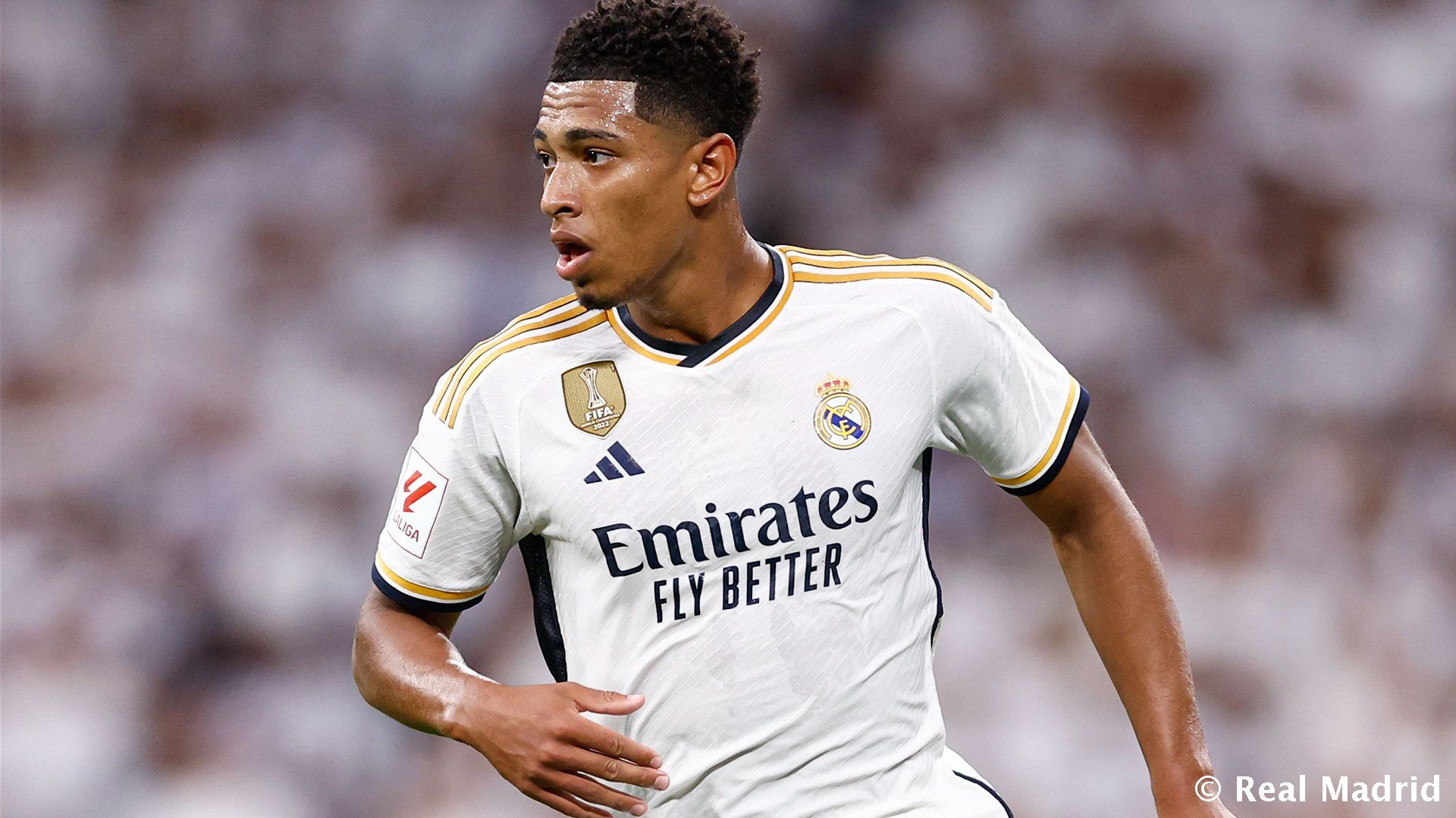 新的竞赛秩 新的竞赛秩